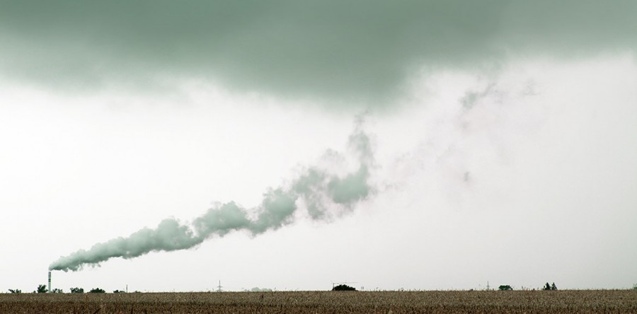 Etiam commodo convallis