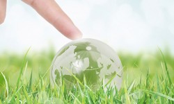 Lorem ipsum dolor sit